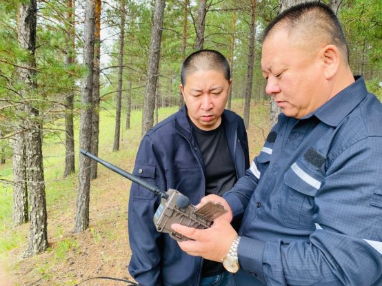 凯时尊龙人生就是博科技为“翼” 红花尔基樟子松林区生物多样性