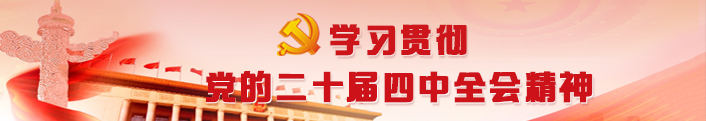 学习贯彻党的二十届四中全会精神