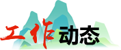 工作动态