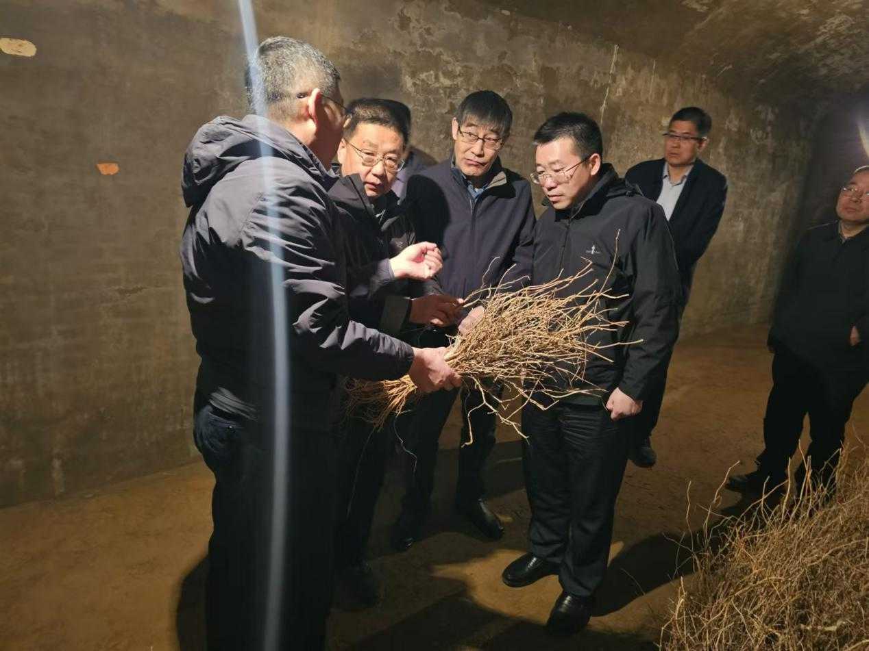 全区各地持续开展林草种苗质量监管...