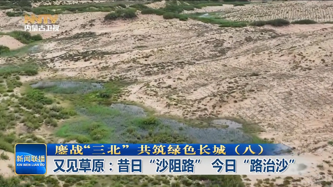 鏖战“三北” 共筑绿色长城 |（八...