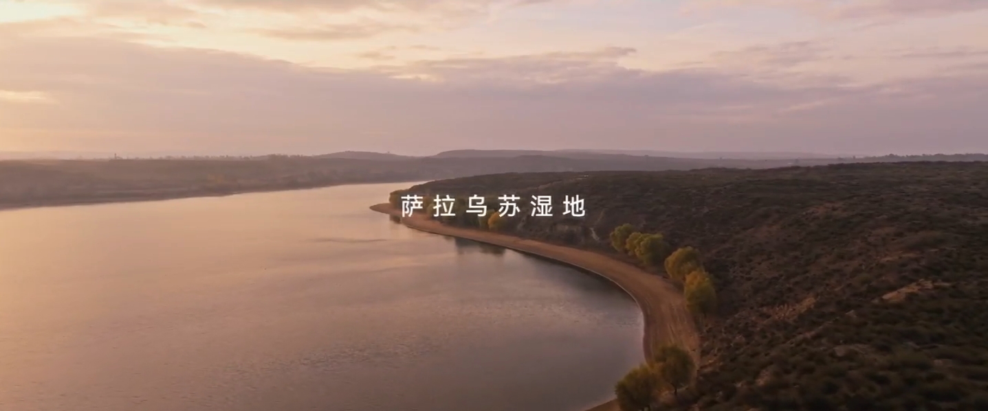 萨拉乌苏湿地日