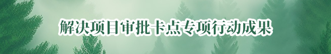 解决项目审批卡点专项行动成果